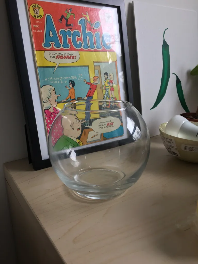 glass terrarium bowl photo 1