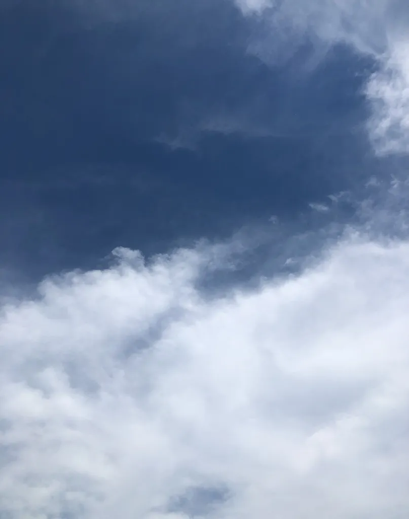 ISO - SPC discount photo 1