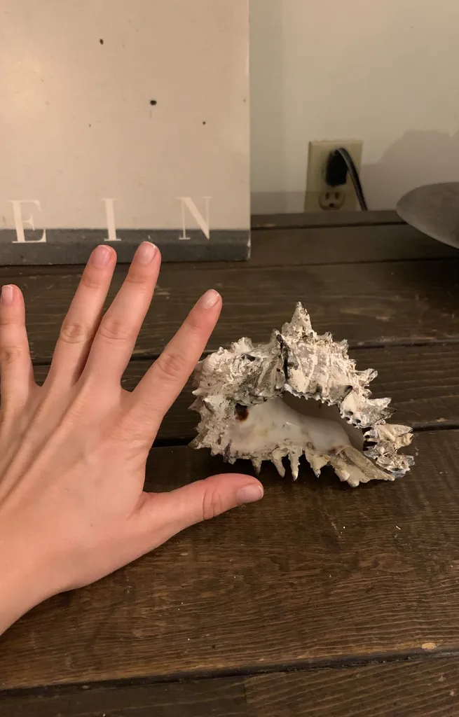 Decorative Piece photo 1