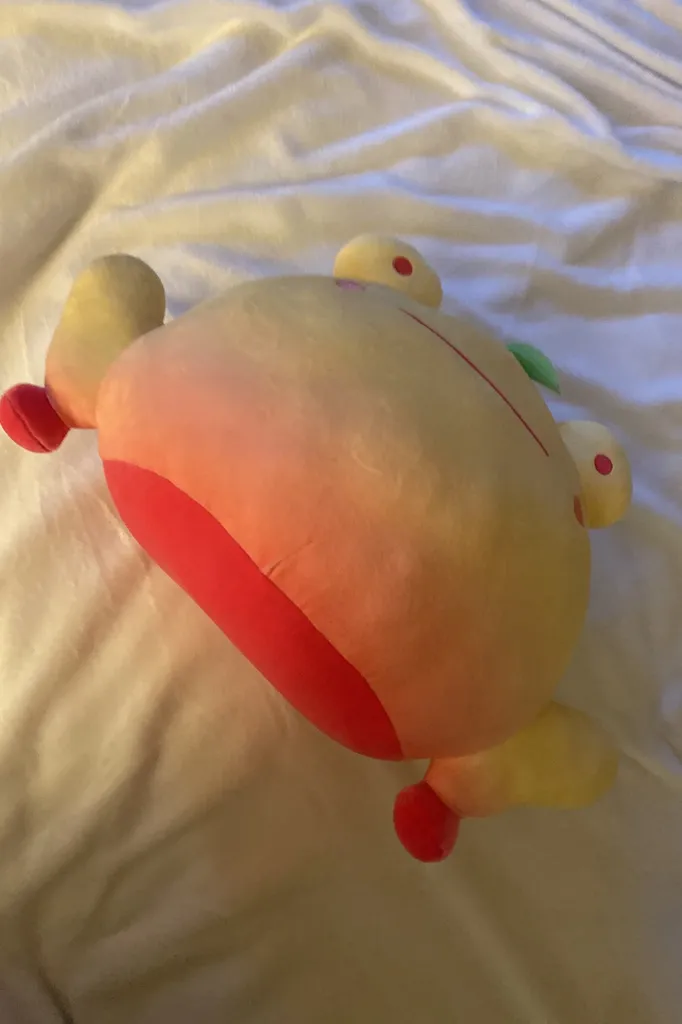 Stuffed Frog photo 1