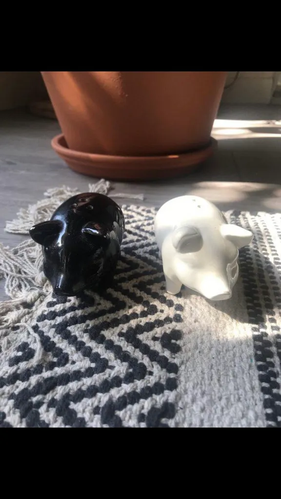 Salt and Pepper Shakers photo 1