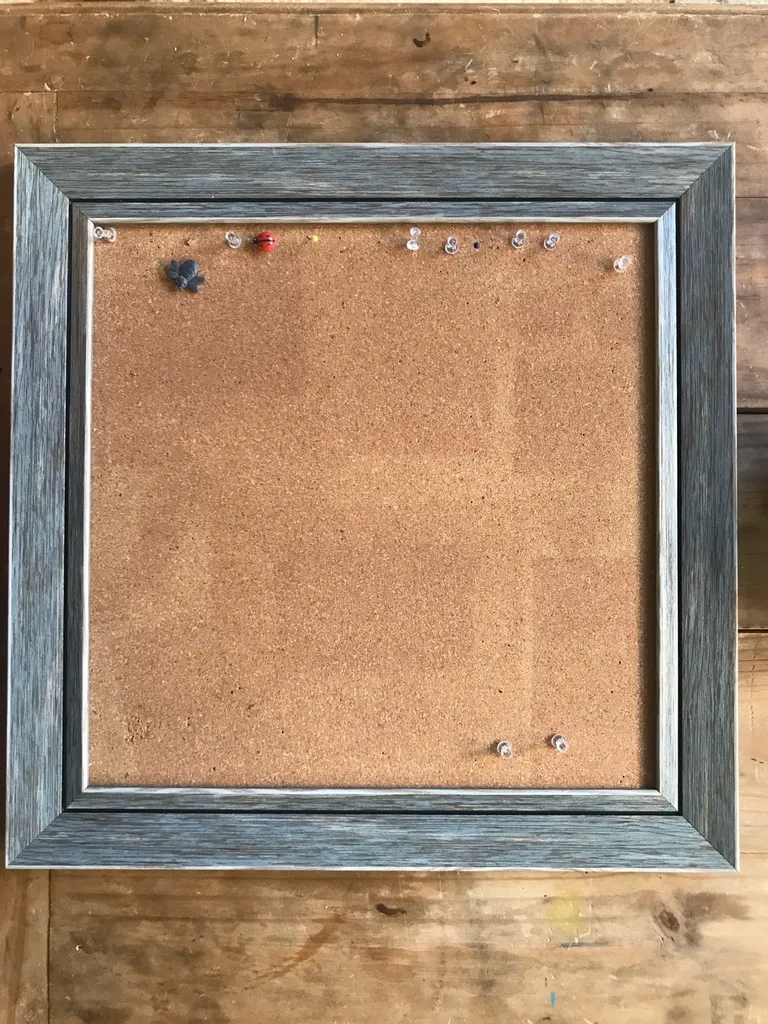 Framed Cork board And Pins photo 1