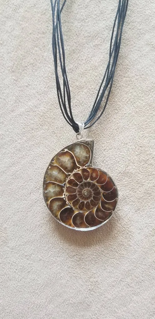 Ammonite Necklace on Cord photo 1