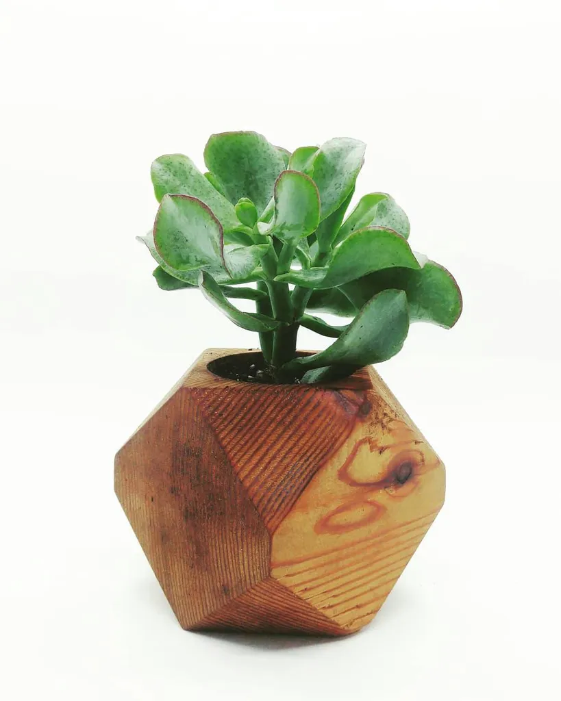 Geometric Wood Planter photo 1