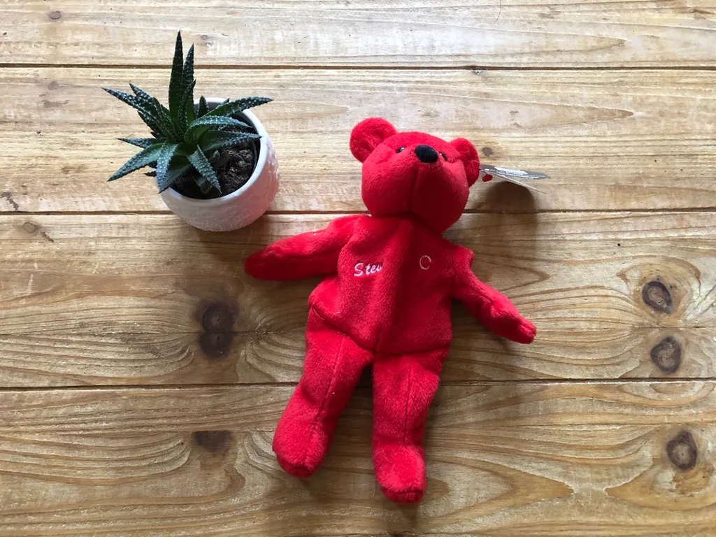 BN Steve Yzerman Beanie Baby photo 1