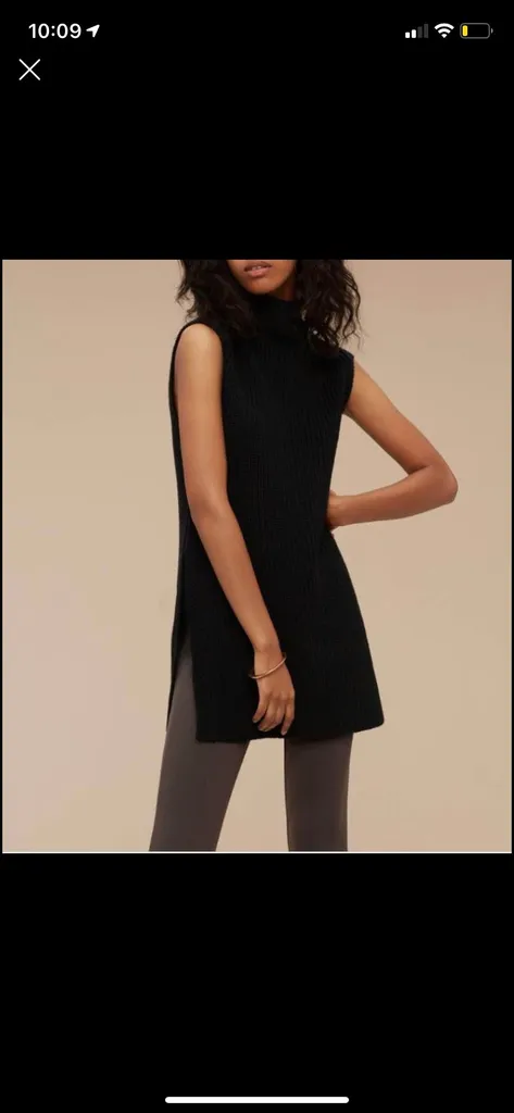 Aritzia Wool Turtle Neck Top photo 1