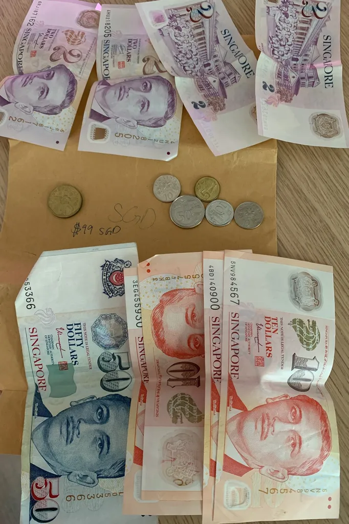 $99 Singapore Dollars photo 1