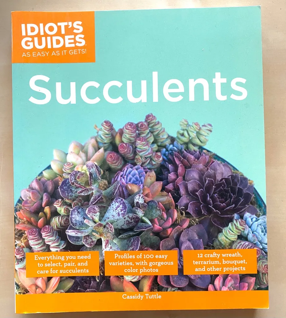Gift-ready Guide To Succulents photo 1