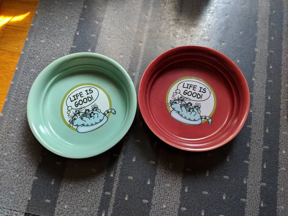 Two Ceramic Pet Bowls photo 1