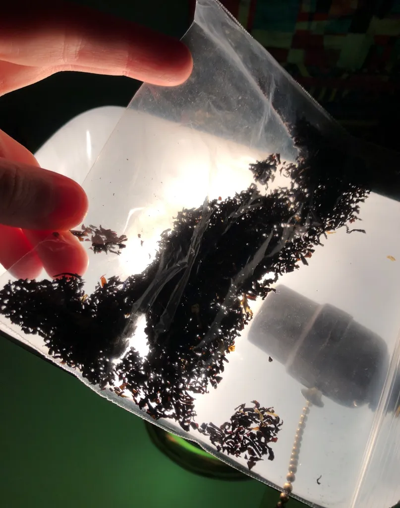 Loose Leaf Earl Grey Tea photo 1