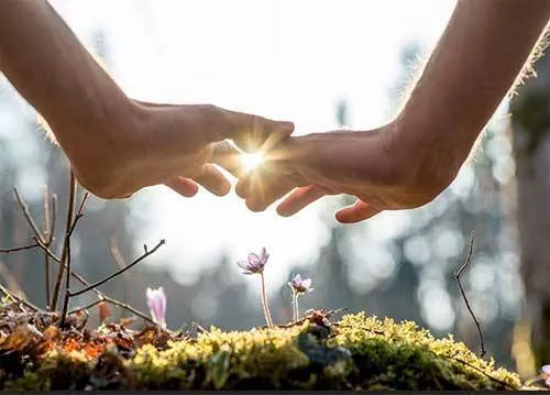 Reiki Healing photo 1