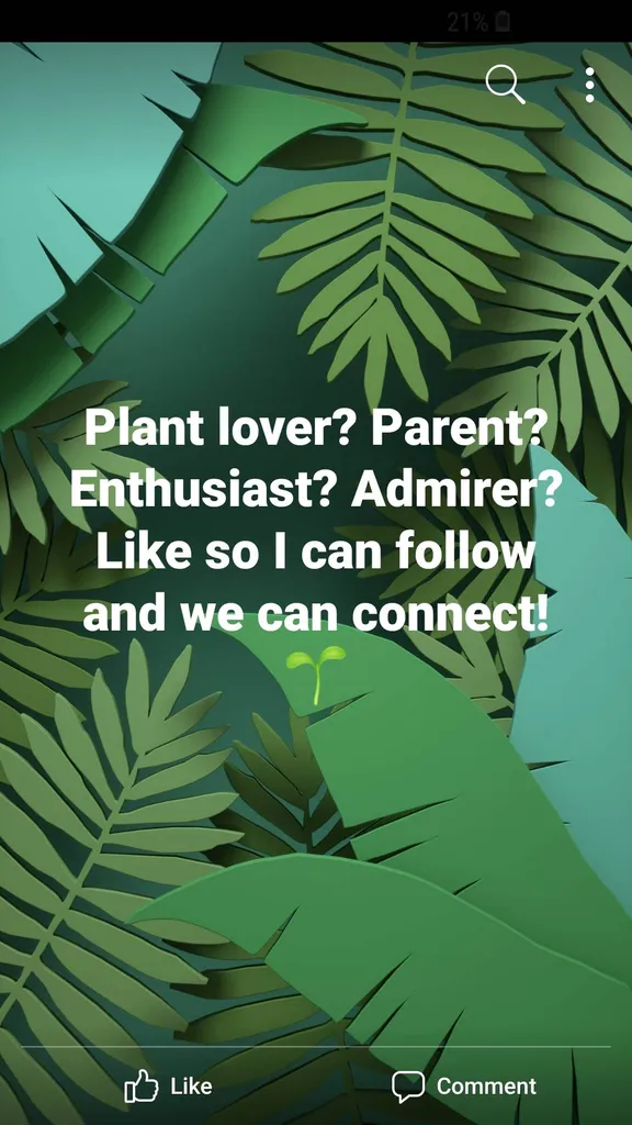 Plant Lover? Like And Follow! photo 1