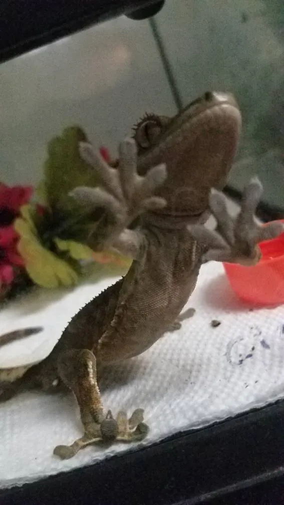 I Dont Know What To Do With  Likes 🙈❄☃️❄ photo 1