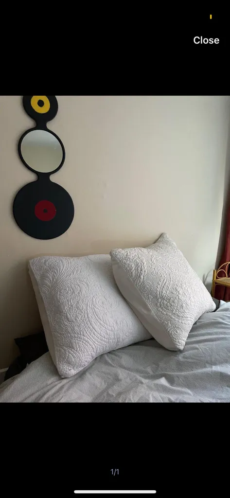 Huge Throw Pillows photo 1