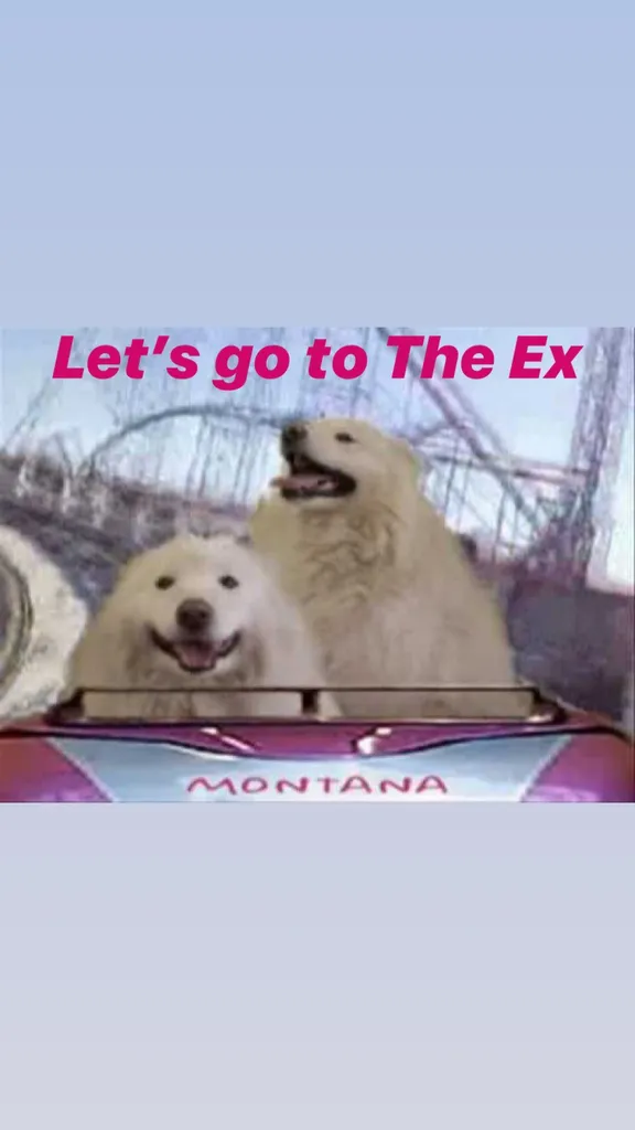 ISO: CNE PASSES photo 1