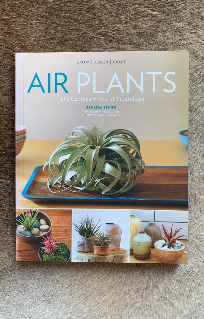 Air Plants By Zenaida Sengo photo 1