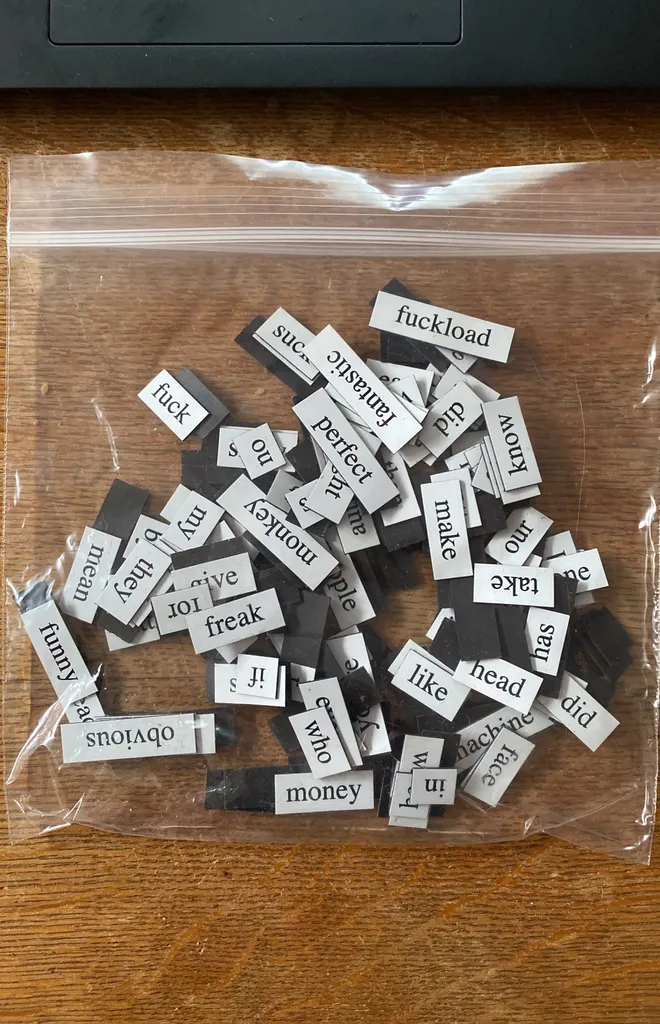 Inappropriate Magnets! photo 1