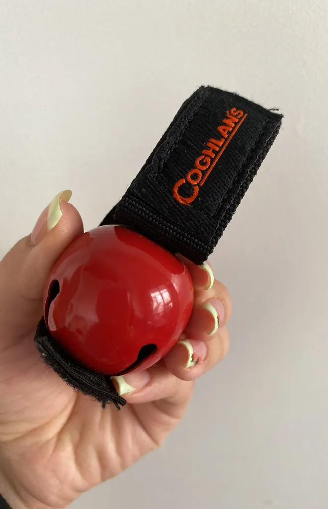 Coghlan’s Bear Bell photo 1