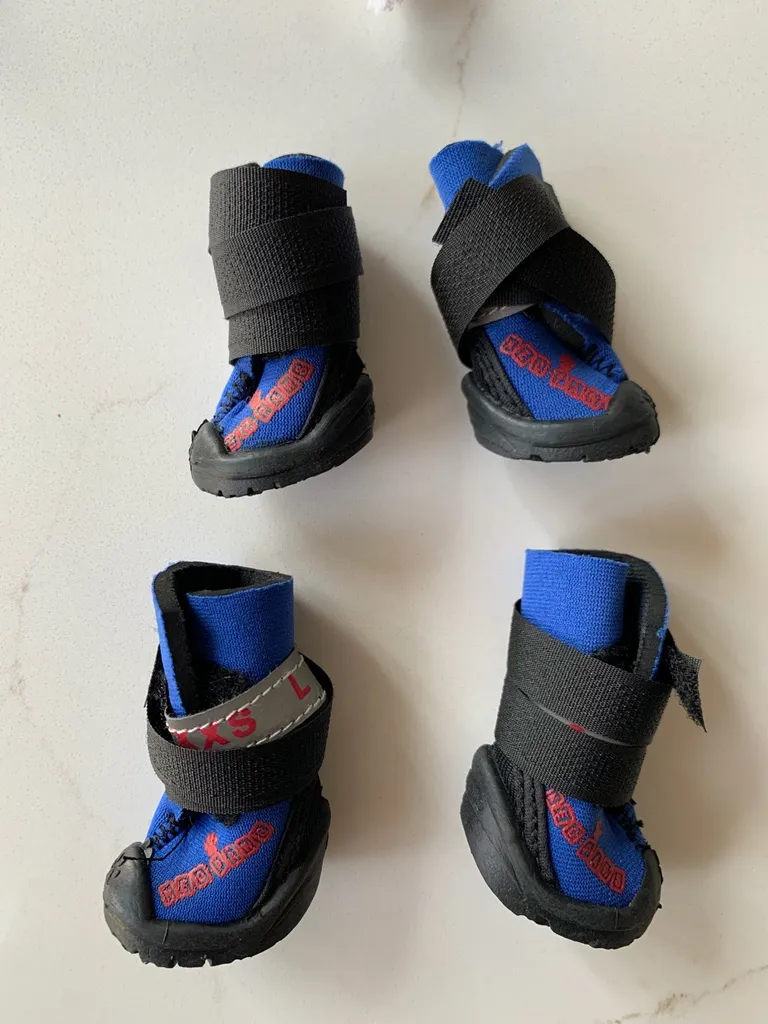 Doggie Winter/water Shoes XXS New Condition photo 1