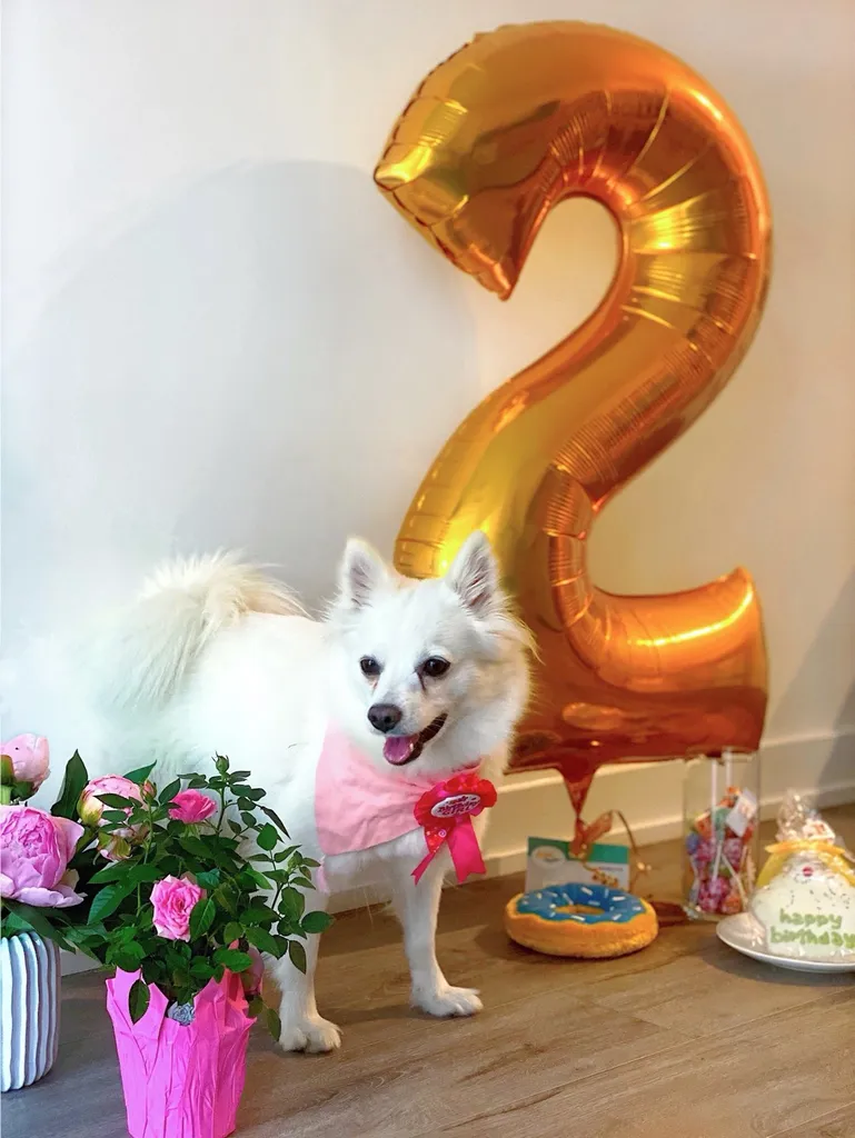 Big Gold 2 Balloon photo 1