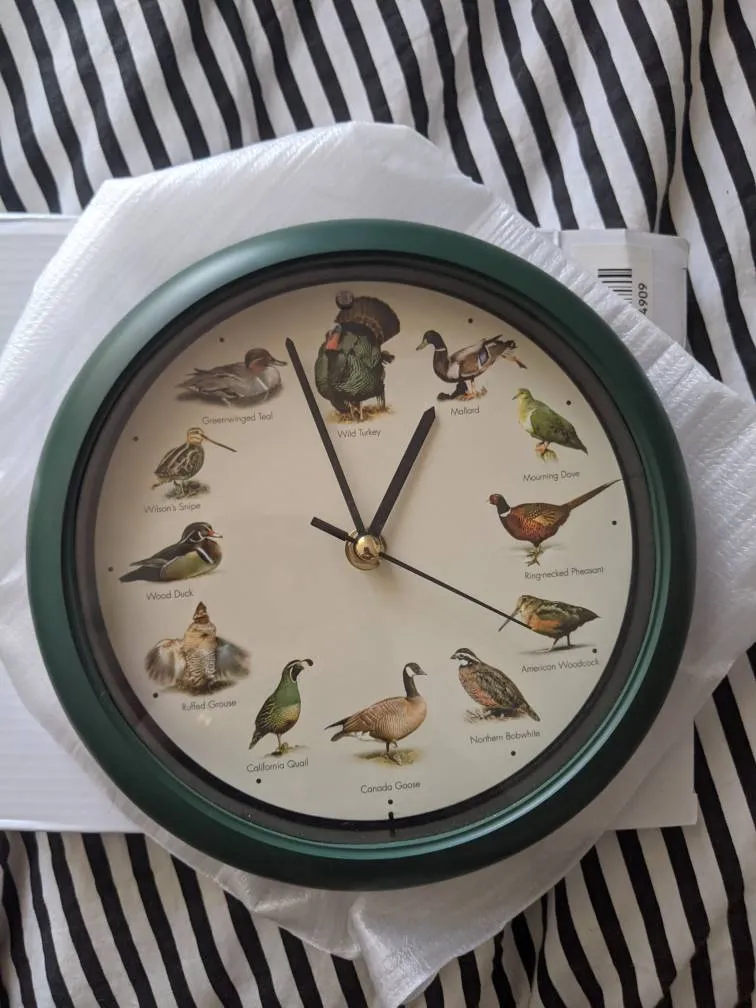 Singing Bird Clock photo 1
