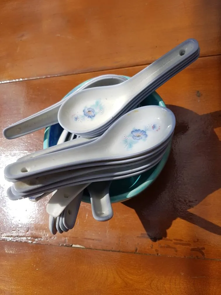 Ceramic Soup Spoons photo 1