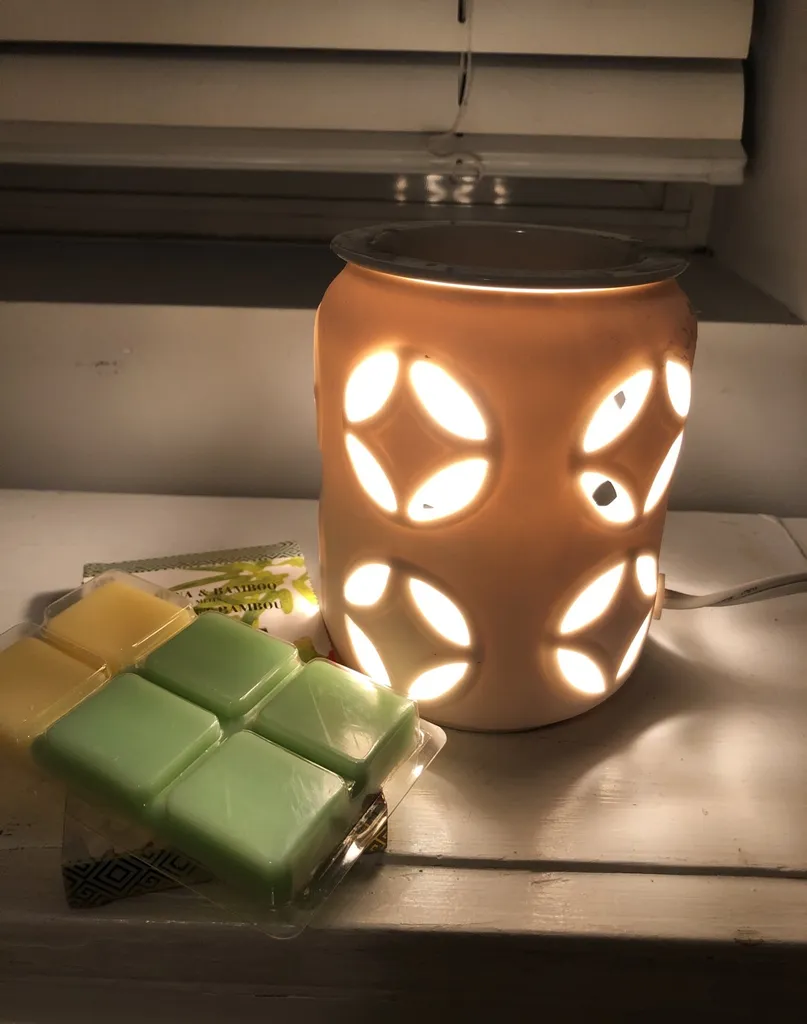 🔥Wax Scent Diffuser photo 1