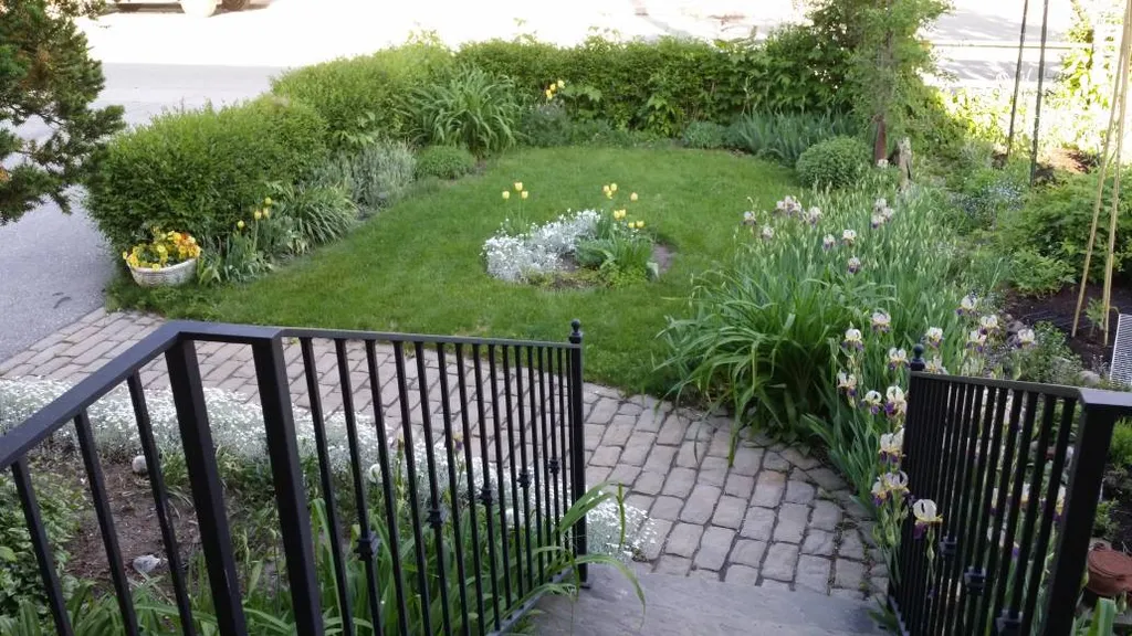 Splitting Perennials photo 1