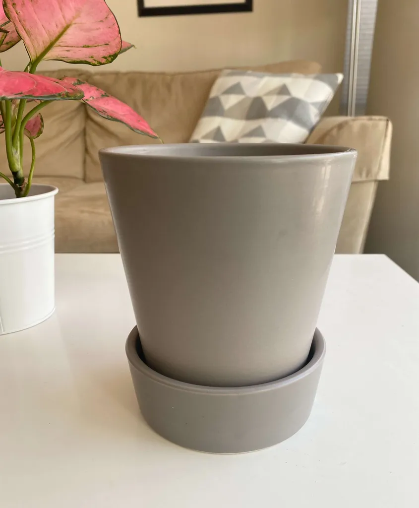 5" Plant Pot photo 1