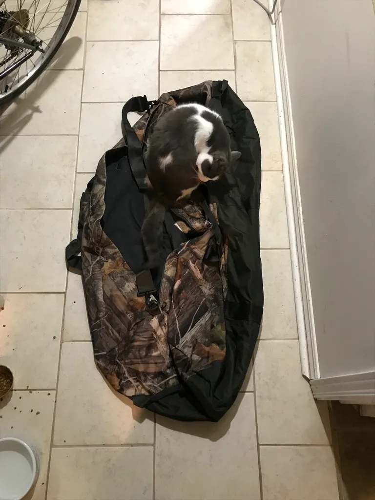 Large Camo Bag photo 1