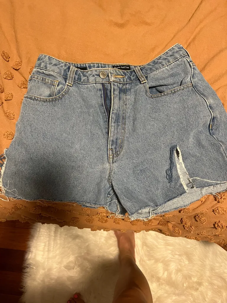 Frank + Oak Shorts photo 1