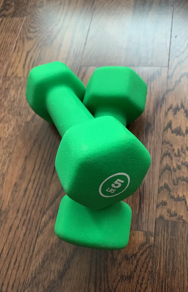 Mint Condition Neoprene Dumbbells (5lbs) photo 1