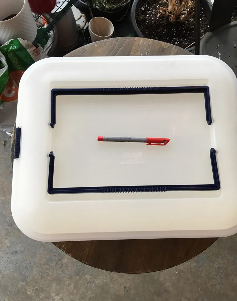 Pastry Carrying Tupperware photo 1