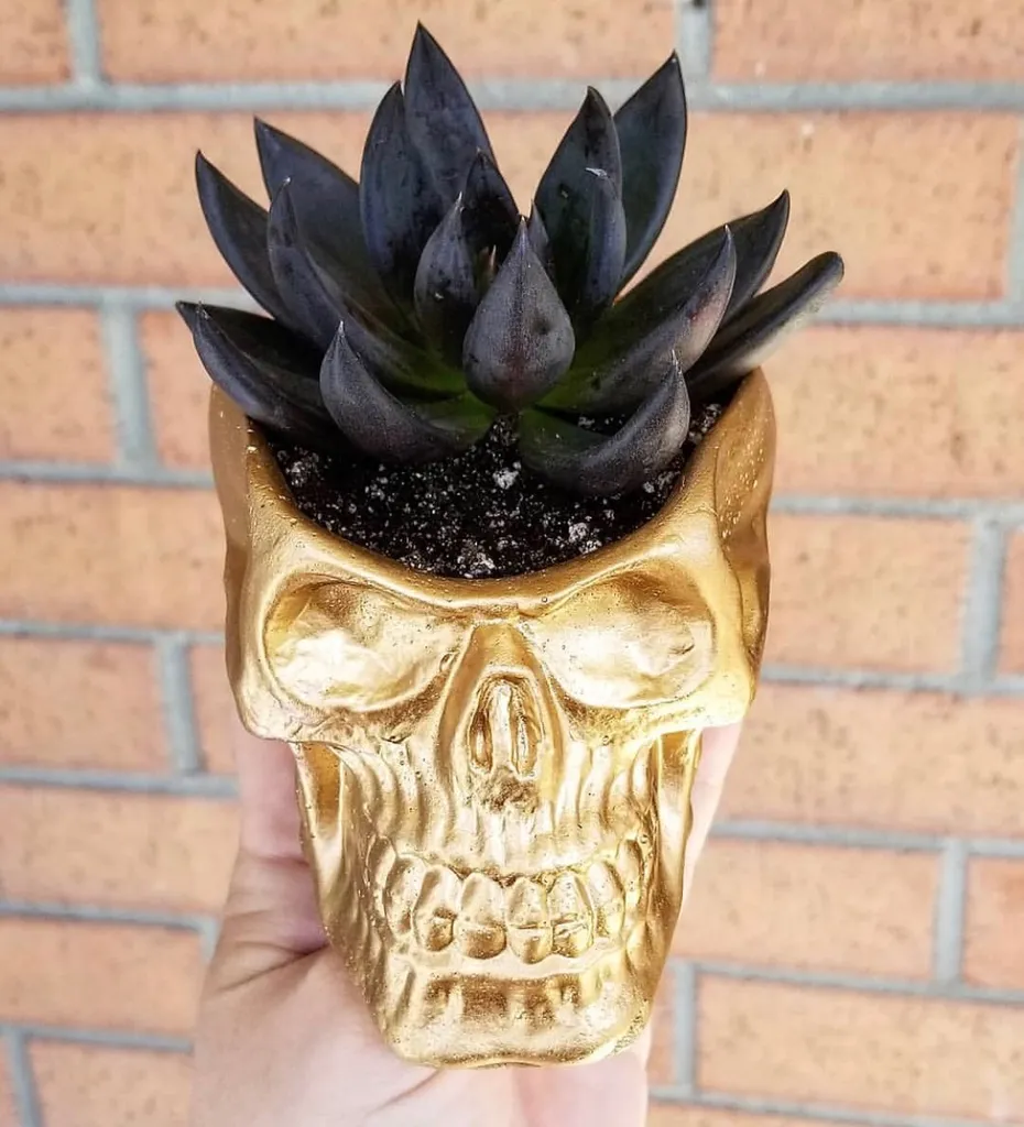 Skull Concrete Planters photo 1