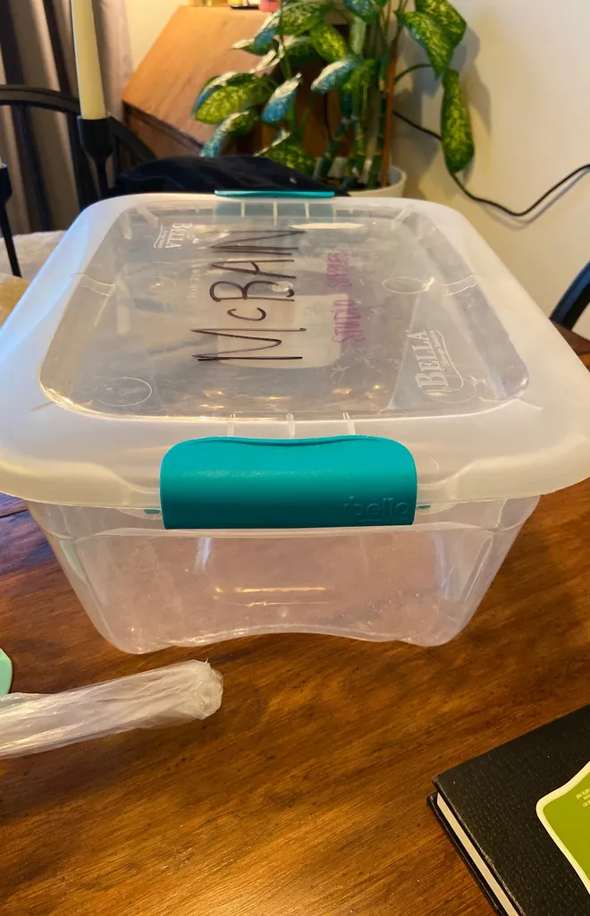 🍑Plastic Bin photo 1