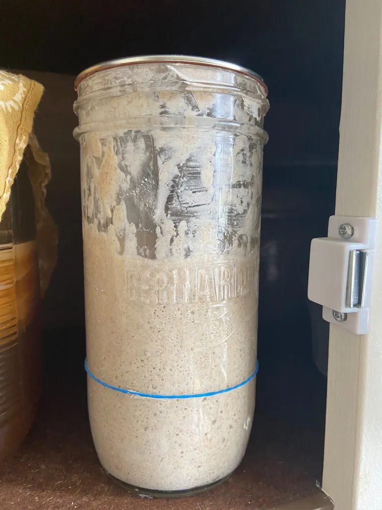 Sourdough starter photo 1
