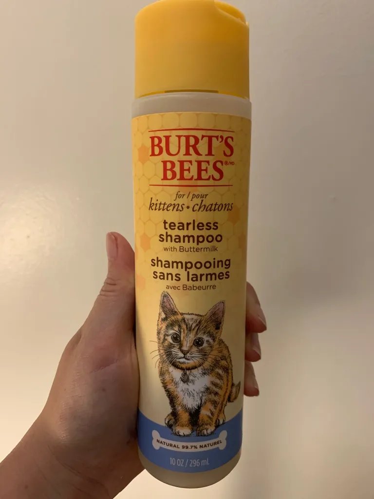 Kitty Shampoo photo 1