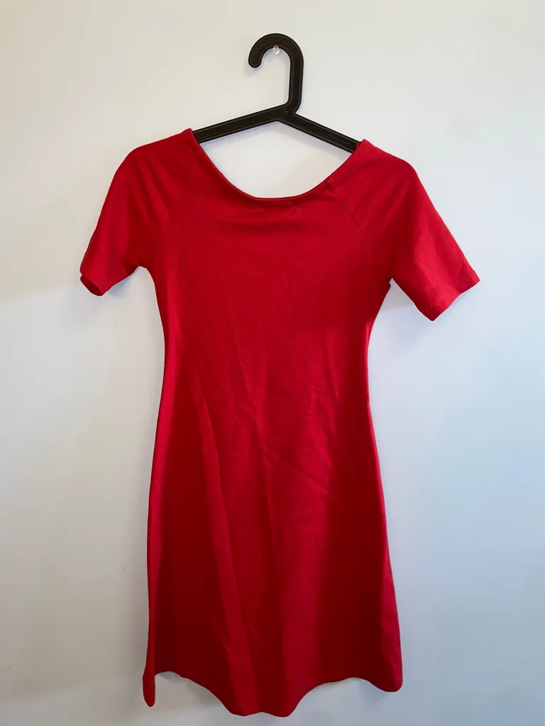 Zara Red Dress (S) photo 1
