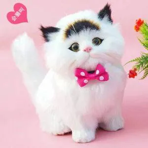 ISO STUFFED CATS photo 1