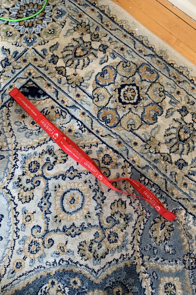 Free Carleton Lanyard photo 1