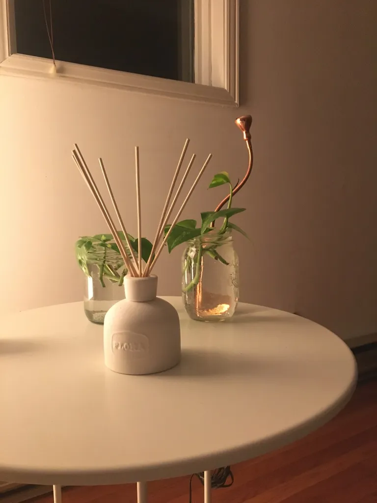 Diffuser photo 1
