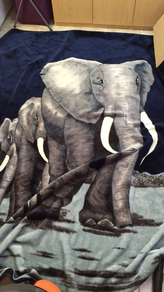 Large warm blanket photo 1