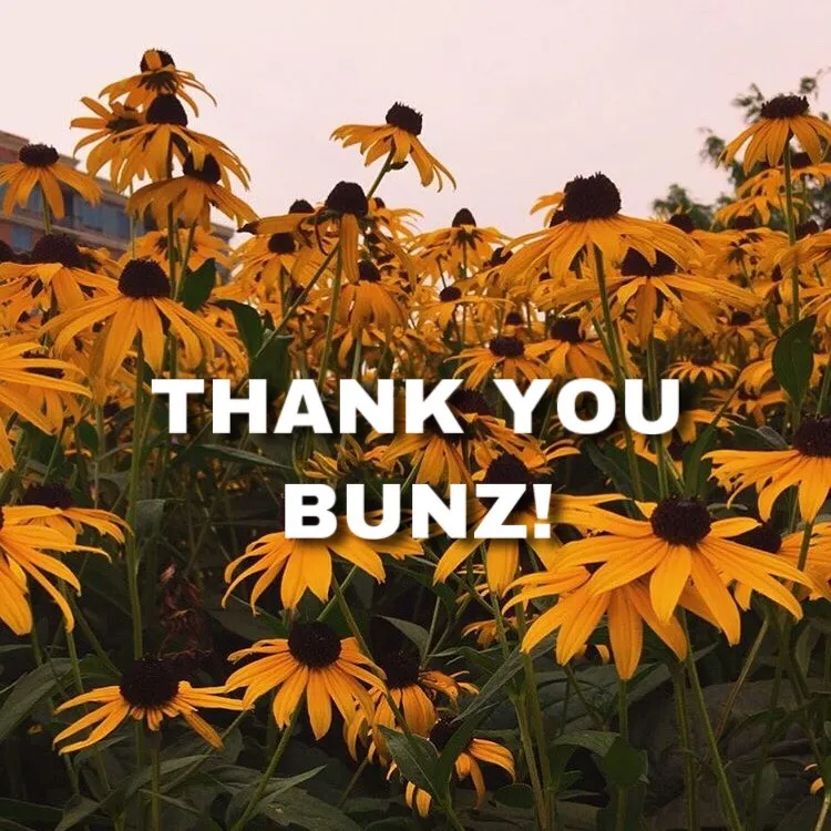 BUNZ APPRECIATION POST 💙 photo 1