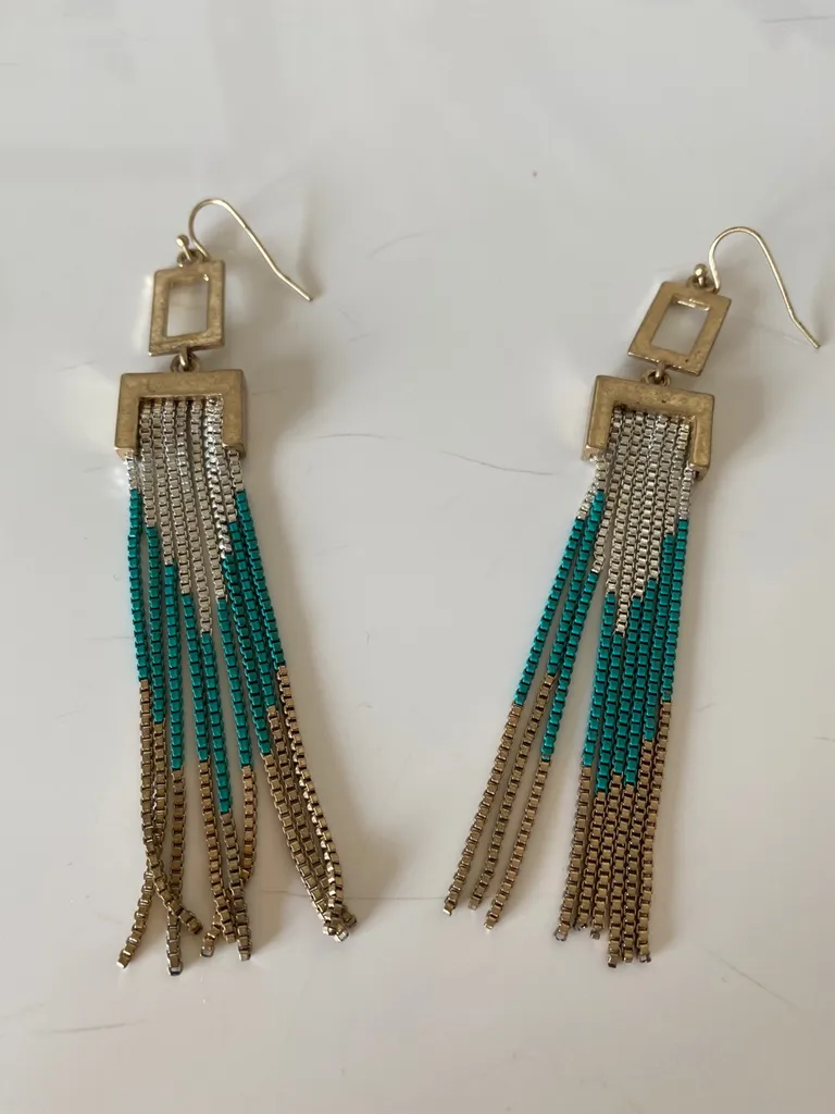 Chain link earrings photo 1