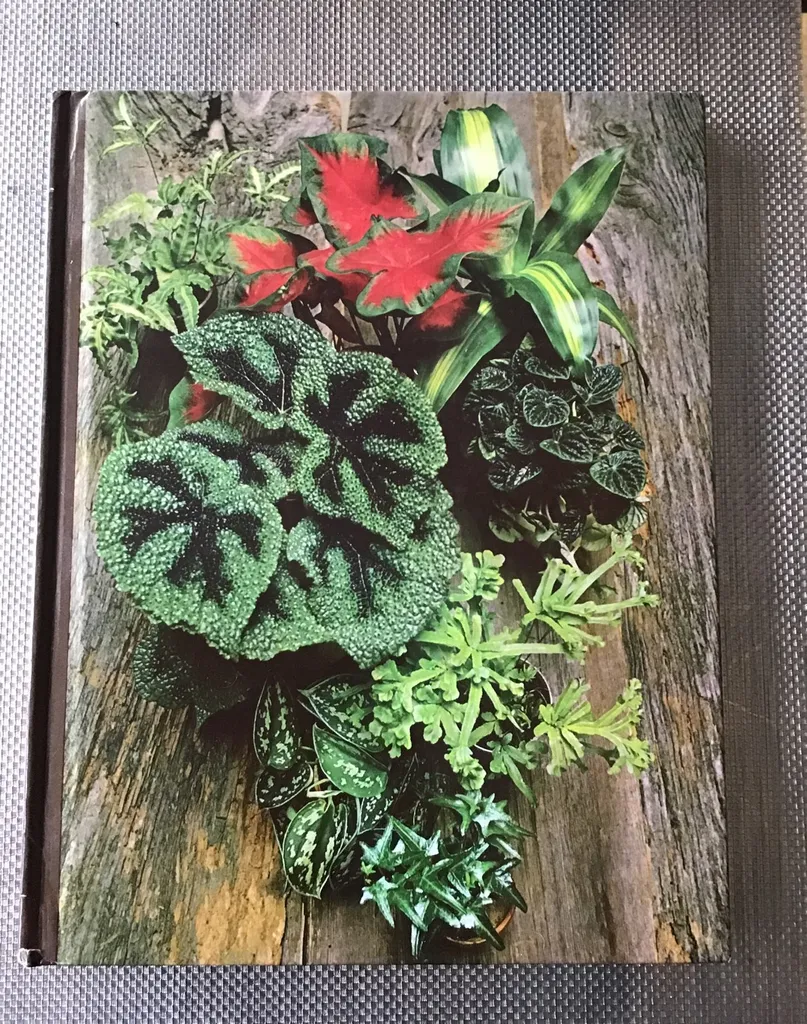 Foliage House Plants photo 1