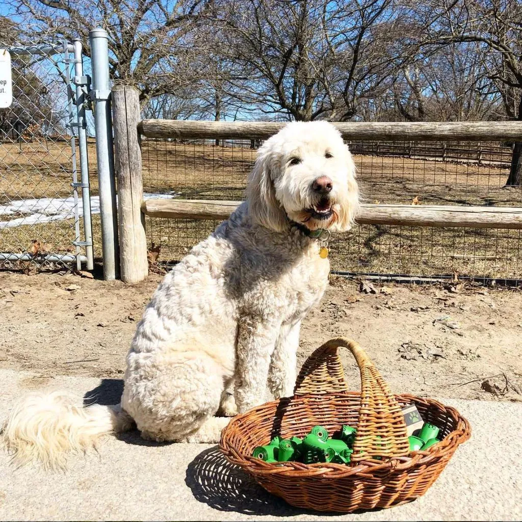 Help me make a 15-30 second commercial photo 1