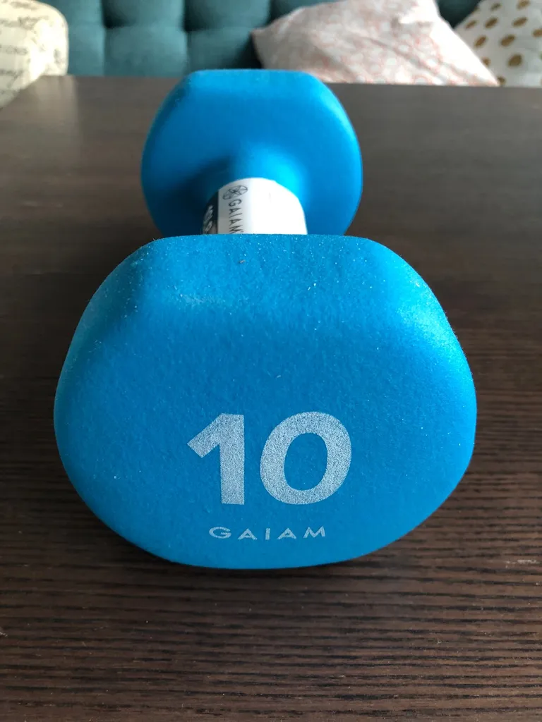 New Single 10lbs Weight photo 1
