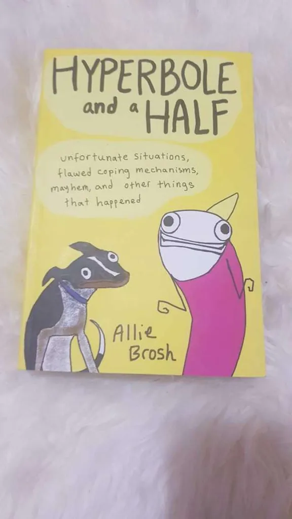 Hyperbole And A Half Book photo 1