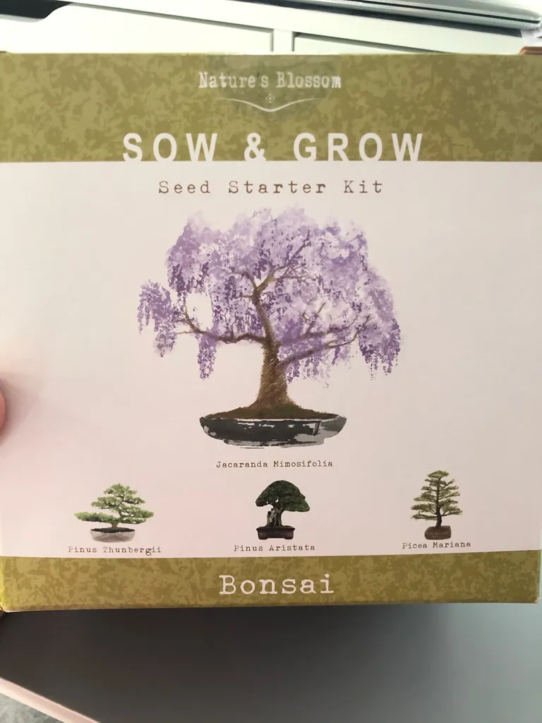 Bonsai Tree Kit photo 1