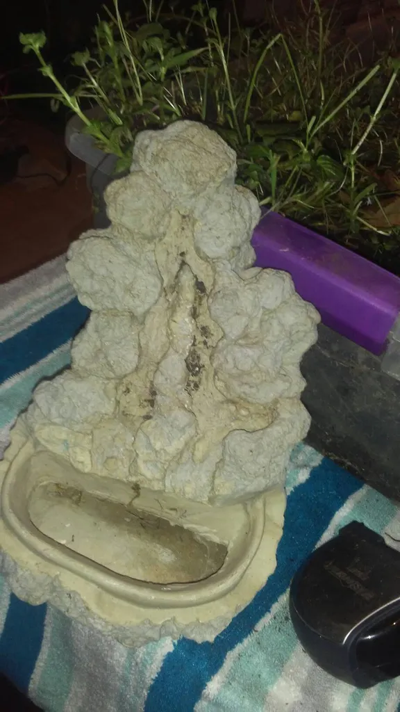 Reptile Fountain photo 1